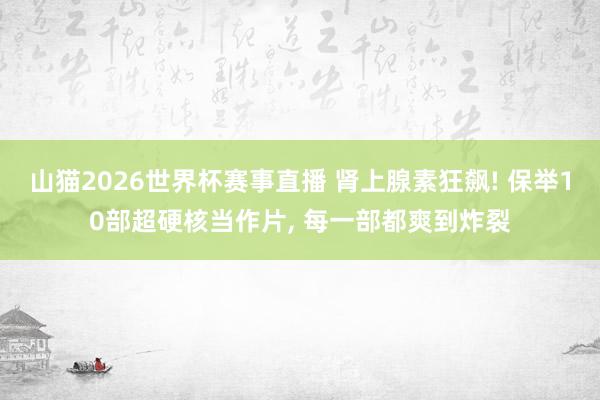 山猫2026世界杯赛事直播 肾上腺素狂飙! 保举10部超硬核当作片, 每一部都爽到炸裂
