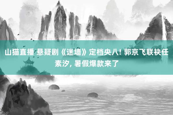 山猫直播 悬疑剧《迷墙》定档央八! 郭京飞联袂任素汐, 暑假爆款来了