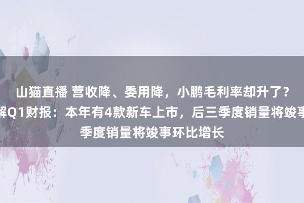 山猫直播 营收降、委用降,小鹏毛利率却升了?何小鹏详解Q1财报:本年有4款新车上市,后三季度销量将竣事环比增长