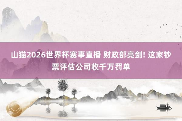 山猫2026世界杯赛事直播 财政部亮剑! 这家钞票评估公司收千万罚单