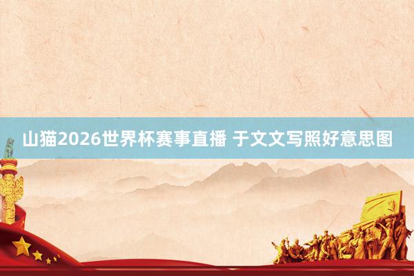山猫2026世界杯赛事直播 于文文写照好意思图