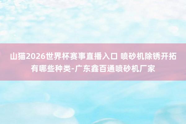 山猫2026世界杯赛事直播入口 喷砂机除锈开拓有哪些种类-广东鑫百通喷砂机厂家