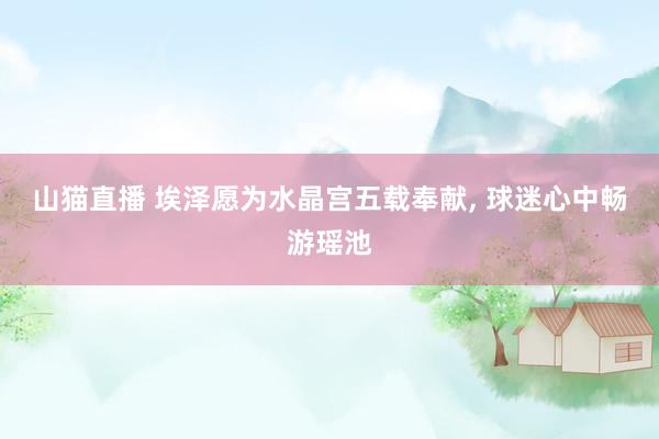 山猫直播 埃泽愿为水晶宫五载奉献, 球迷心中畅游瑶池