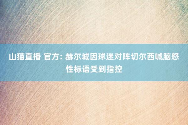 山猫直播 官方: 赫尔城因球迷对阵切尔西喊脑怒性标语受到指控