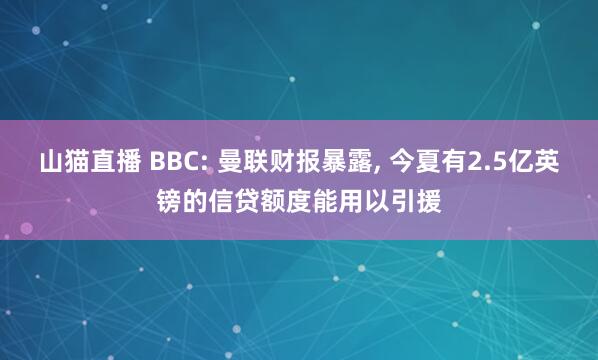 山猫直播 BBC: 曼联财报暴露, 今夏有2.5亿英镑的信贷额度能用以引援