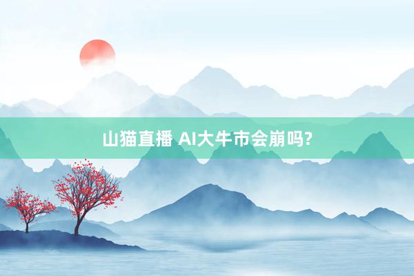 山猫直播 AI大牛市会崩吗?