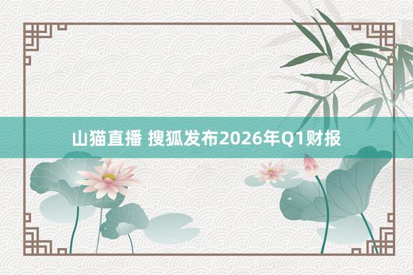 山猫直播 搜狐发布2026年Q1财报