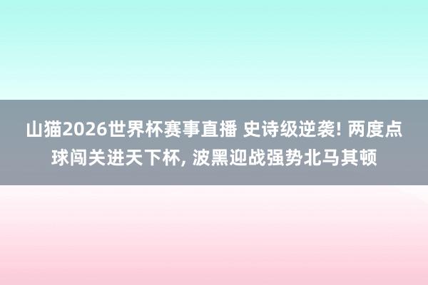 山猫2026世界杯赛事直播 史诗级逆袭! 两度点球闯关进天下杯, 波黑迎战强势北马其顿