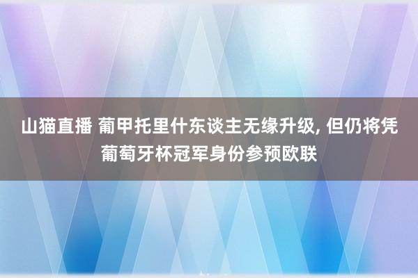 山猫直播 葡甲托里什东谈主无缘升级, 但仍将凭葡萄牙杯冠军身份参预欧联