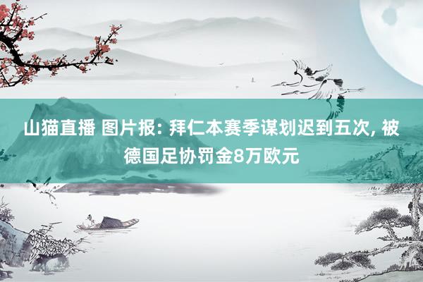 山猫直播 图片报: 拜仁本赛季谋划迟到五次, 被德国足协罚金8万欧元