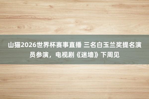 山猫2026世界杯赛事直播 三名白玉兰奖提名演员参演,电视剧《迷墙》下周见