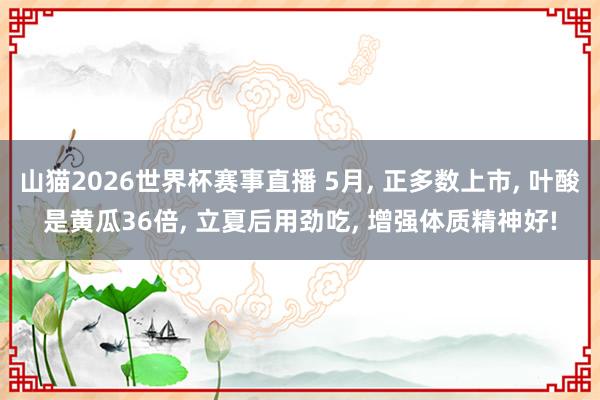 山猫2026世界杯赛事直播 5月, 正多数上市, 叶酸是黄瓜36倍, 立夏后用劲吃, 增强体质精神好!