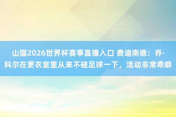 山猫2026世界杯赛事直播入口 费迪南德:乔·科尔在更衣室里从来不碰足球一下,活动非常乖癖
