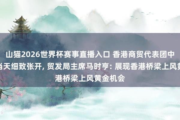 山猫2026世界杯赛事直播入口 香港商贸代表团中亚之行当天细致张开, 贸发局主席马时亨: 展现香港桥梁上风黄金机会
