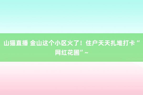 山猫直播 金山这个小区火了!住户天天扎堆打卡“网红花圃”~