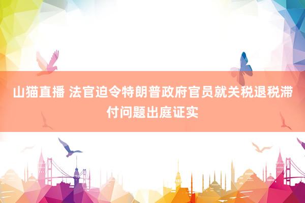 山猫直播 法官迫令特朗普政府官员就关税退税滞付问题出庭证实