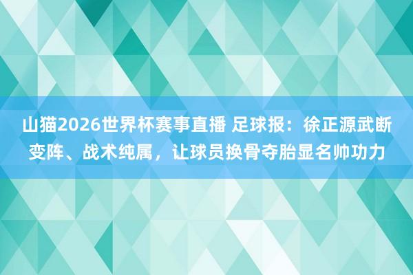 山猫2026世界杯赛事直播 足球报:徐正源武断变阵、战术纯属,让球员换骨夺胎显名帅功力
