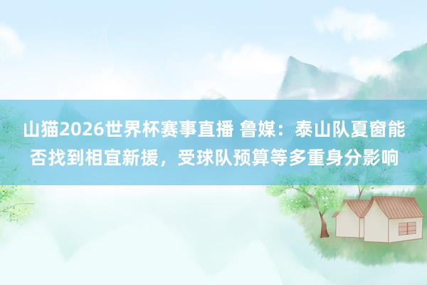 山猫2026世界杯赛事直播 鲁媒:泰山队夏窗能否找到相宜新援,受球队预算等多重身分影响
