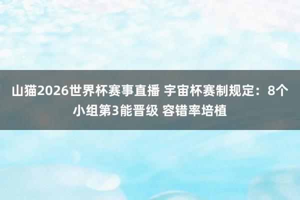 山猫2026世界杯赛事直播 宇宙杯赛制规定:8个小组第3能晋级 容错率培植