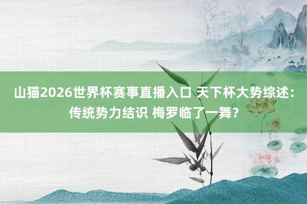 山猫2026世界杯赛事直播入口 天下杯大势综述:传统势力结识 梅罗临了一舞?