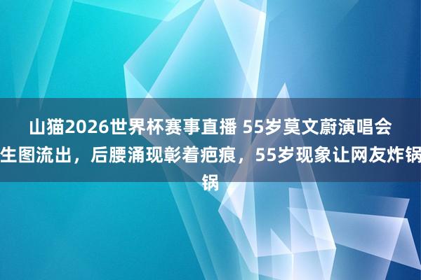 山猫2026世界杯赛事直播 55岁莫文蔚演唱会生图流出,后腰涌现彰着疤痕,55岁现象让网友炸锅