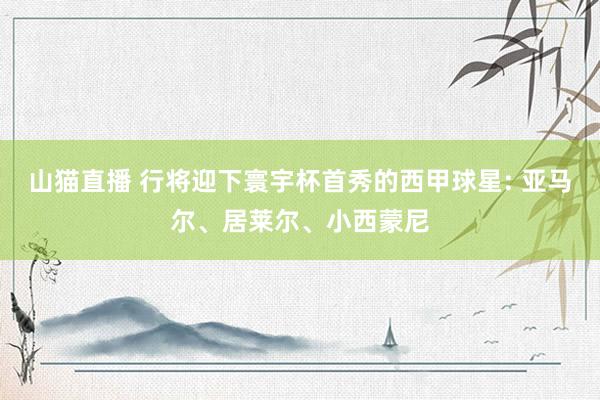 山猫直播 行将迎下寰宇杯首秀的西甲球星: 亚马尔、居莱尔、小西蒙尼