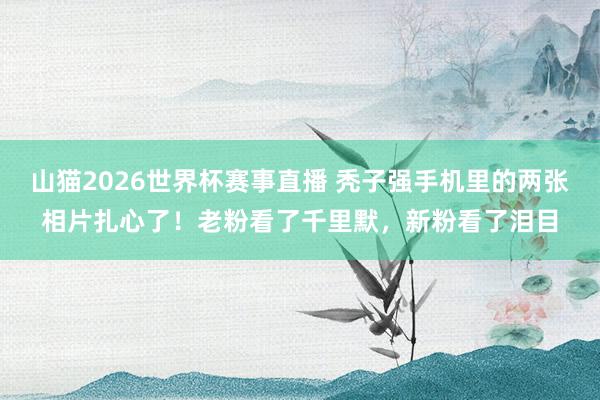 山猫2026世界杯赛事直播 秃子强手机里的两张相片扎心了!老粉看了千里默,新粉看了泪目