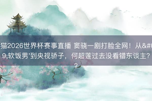 山猫2026世界杯赛事直播 窦骁一剧打脸全网!从'软饭男'到央视骄子,何超莲过去没看错东谈主?