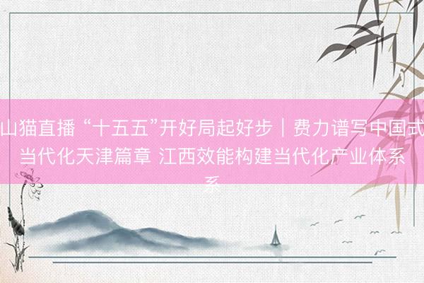 山猫直播 “十五五”开好局起好步|费力谱写中国式当代化天津篇章 江西效能构建当代化产业体系