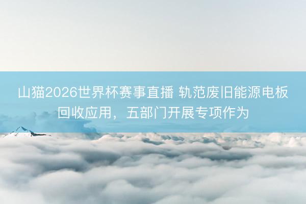 山猫2026世界杯赛事直播 轨范废旧能源电板回收应用,五部门开展专项作为