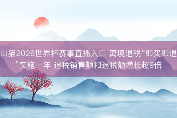 山猫2026世界杯赛事直播入口 离境退税“即买即退”实施一年 退税销售额和退税额增长超9倍