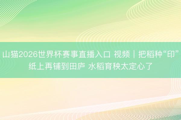 山猫2026世界杯赛事直播入口 视频|把稻种“印”纸上再铺到田庐 水稻育秧太定心了