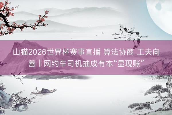 山猫2026世界杯赛事直播 算法协商 工夫向善|网约车司机抽成有本“显现账”