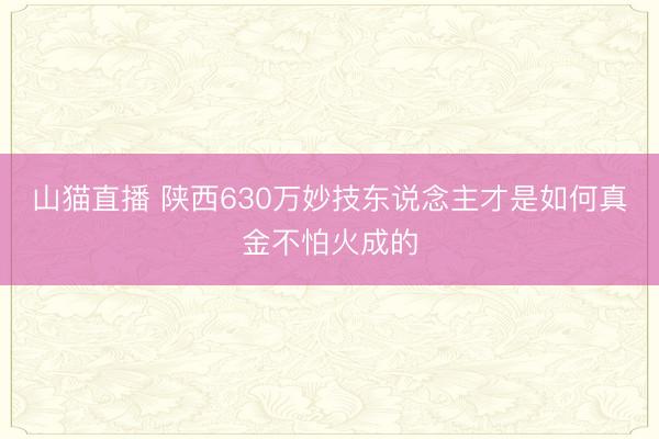 山猫直播 陕西630万妙技东说念主才是如何真金不怕火成的