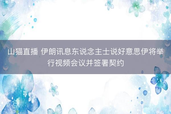 山猫直播 伊朗讯息东说念主士说好意思伊将举行视频会议并签署契约