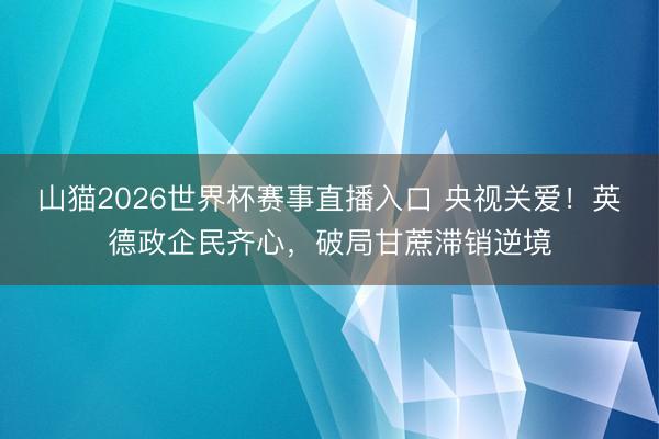 山猫2026世界杯赛事直播入口 央视关爱!英德政企民齐心,破局甘蔗滞销逆境
