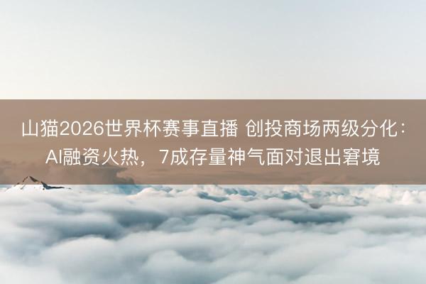 山猫2026世界杯赛事直播 创投商场两级分化:AI融资火热,7成存量神气面对退出窘境
