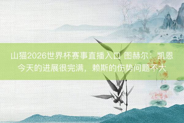 山猫2026世界杯赛事直播入口 图赫尔：凯恩今天的进展很完满，赖斯的伤势问题不大